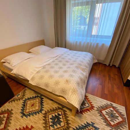 Apartament Viva 普雷代亚尔 外观 照片