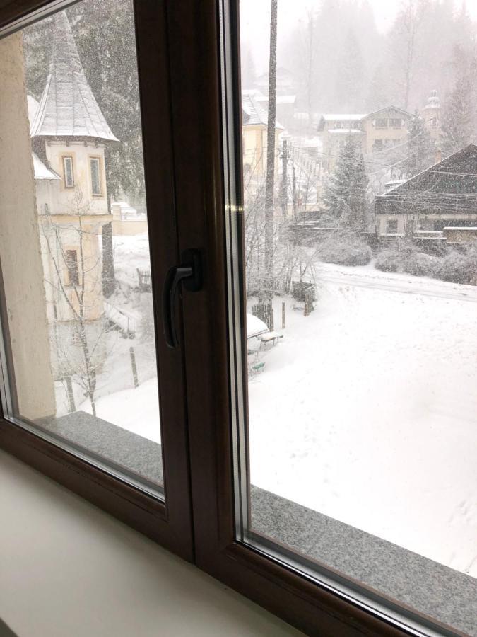 Apartament Viva 普雷代亚尔 外观 照片