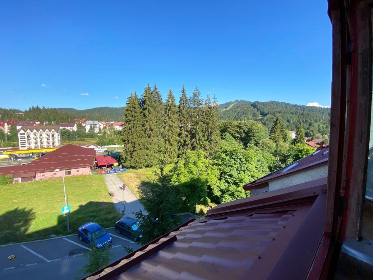 Apartament Viva 普雷代亚尔 外观 照片