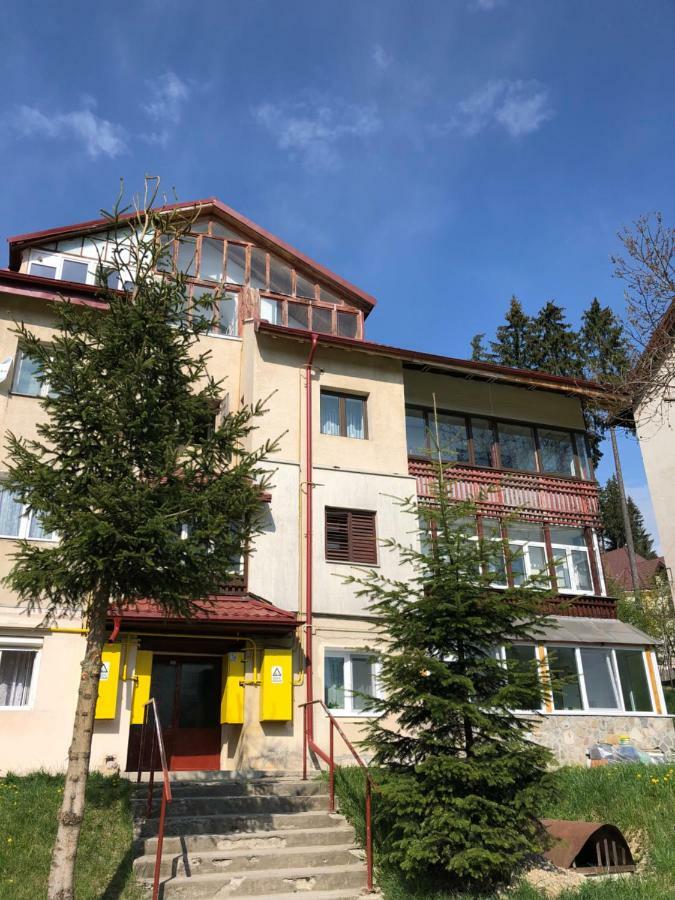 Apartament Viva 普雷代亚尔 外观 照片